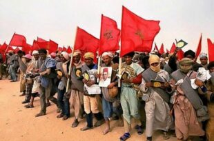 La récupération d’Oued Eddahab, une épopée nationale mémorable, empreinte de valeurs nobles (El Ktiri)