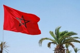 Coopération migratoire | Le retour des mineurs non accompagnés est une question de principe basée sur les Hautes Instructions Royales