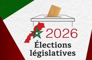 Législatives 2026 | Un taux de participation de 28,05% à 17H00 au niveau national