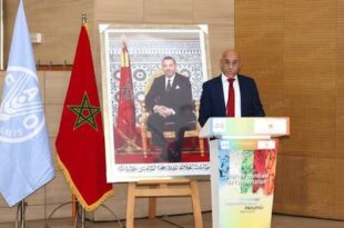 Souveraineté alimentaire | Le Maroc mise sur l’innovation et la jeunesse (M. Hatimy)